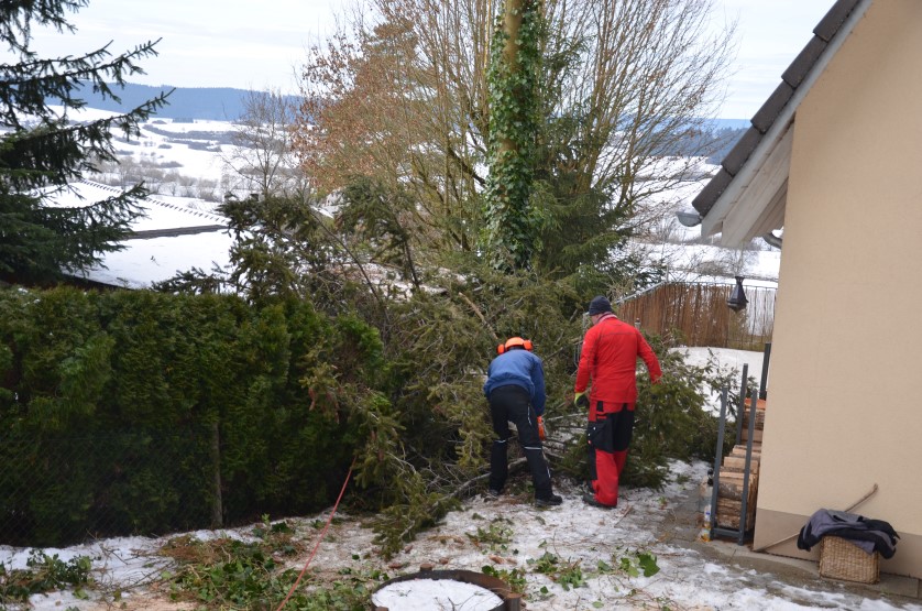 Fällen eines Hochrisikobaumes